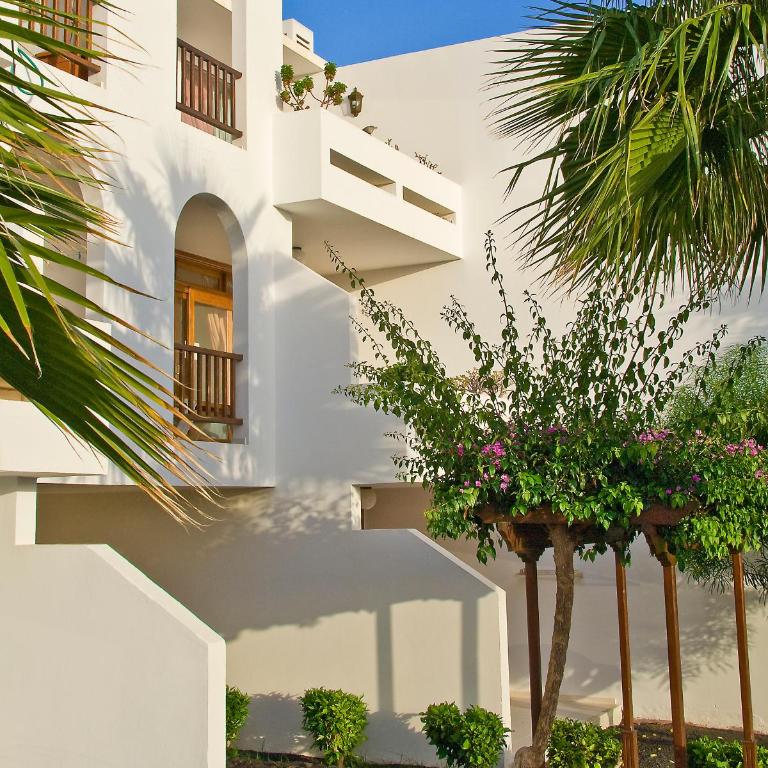 Camel's Spring Club - Apartamento de 2 dormitorios (1-6 adultos) - 7