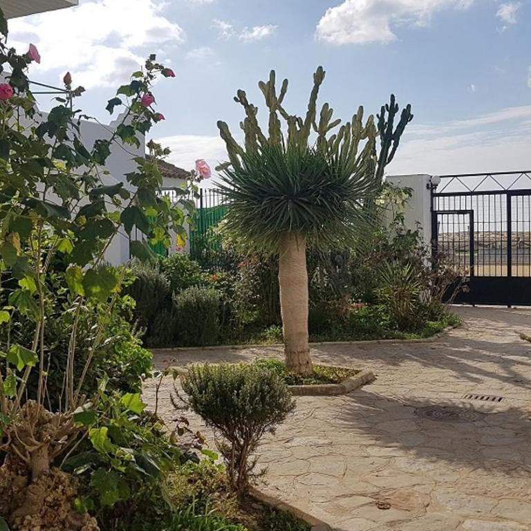 Zahara Pueblo - Apartamento de 2 dormitorios - 7