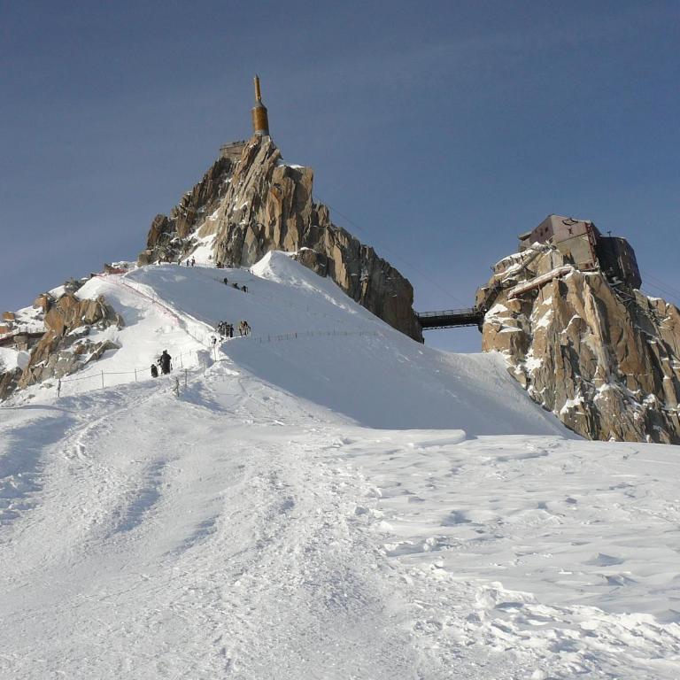 Appartement chamonix face au mont blanc - Studio - 1