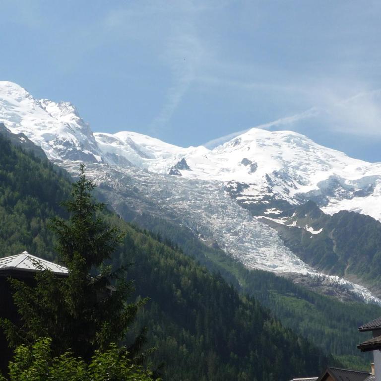 Appartement chamonix face au mont blanc - Studio - 26