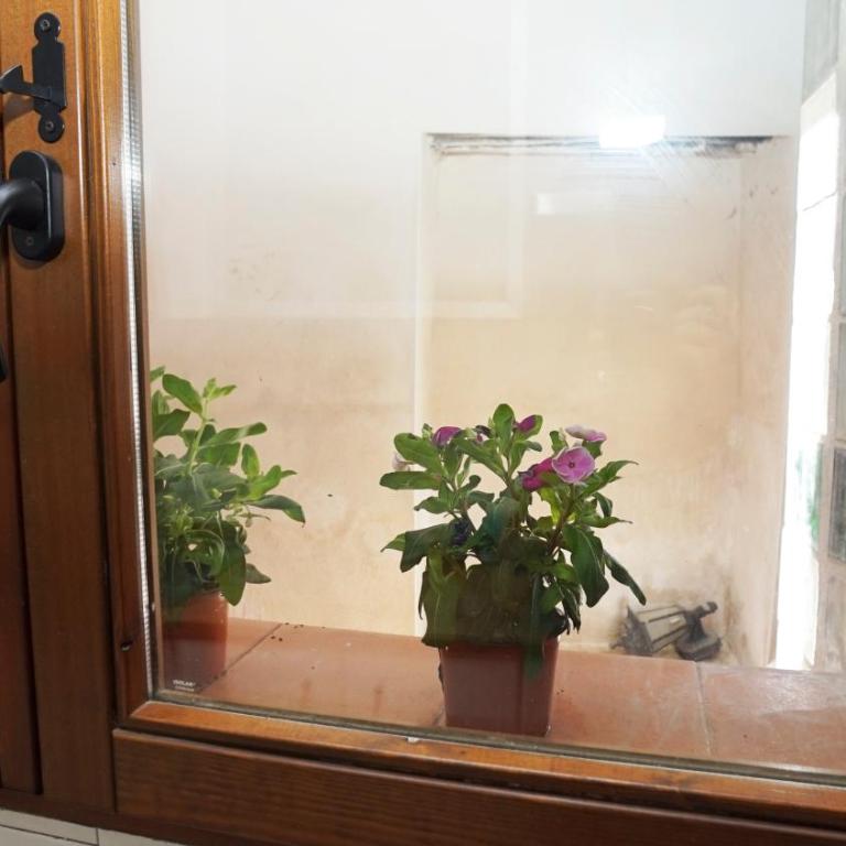 Casa Gatos - Apartamento de 3 dormitorios (7 adultos) - 37