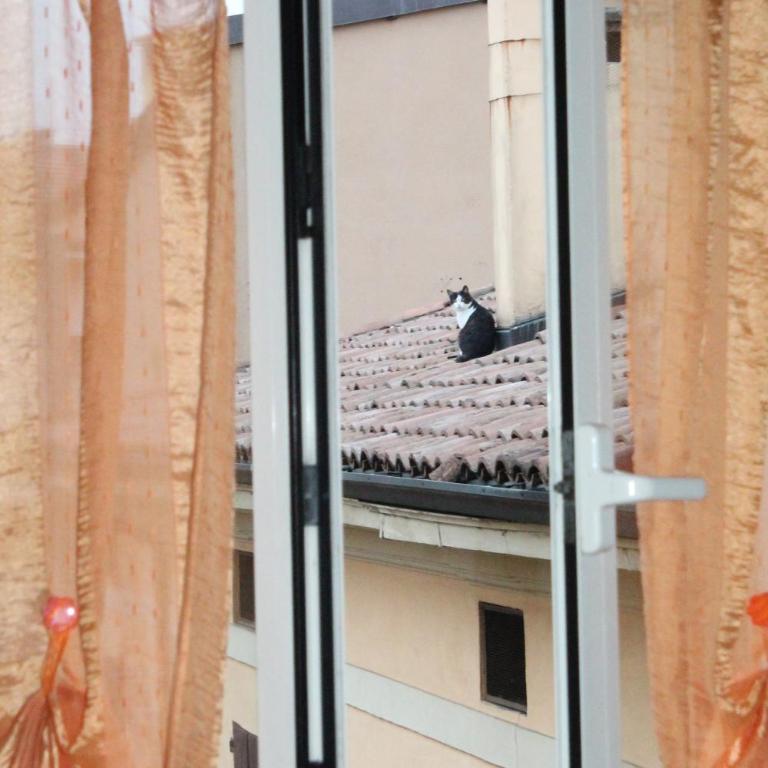 La Soffitta - Appartamento - 7
