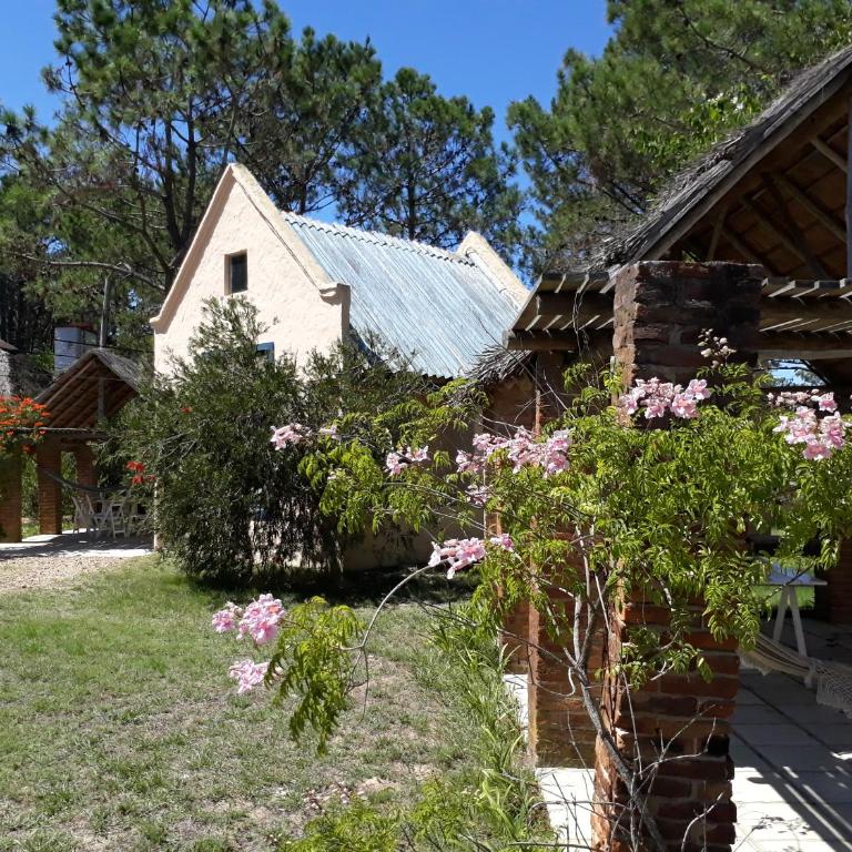 Chalets del Bosque - Chalet de 2 dormitorios - 7