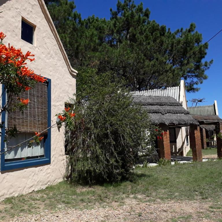 Chalets del Bosque - Chalet de 2 dormitorios - 15