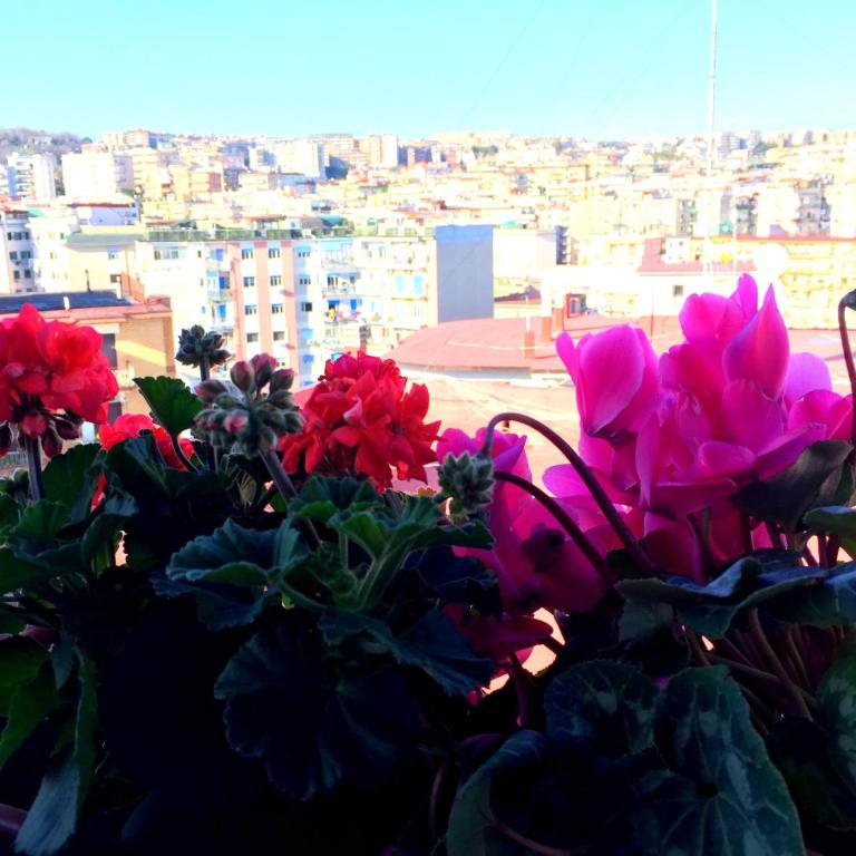 Suite Delicia Apartment - Appartamento con Terrazza - Appartamento con Terrazza - 39