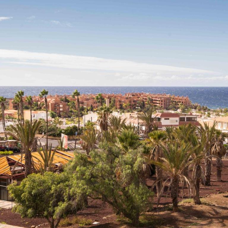 2 Bdr Apartment In Palm Mar PM120 Pool Parking - Apartment with Pool View - 36