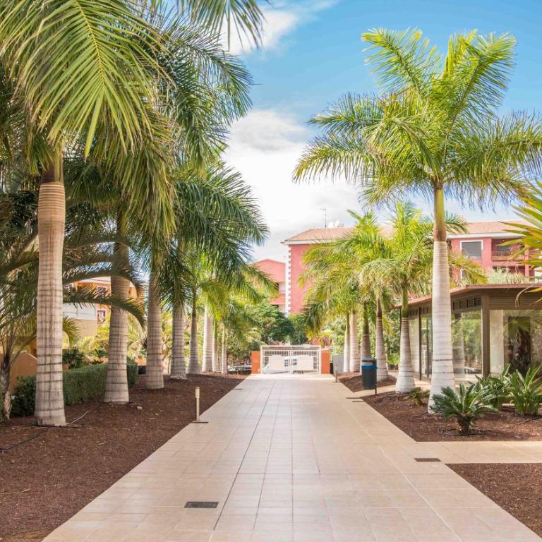 2 Bdr Apartment In Palm Mar PM120 Pool Parking - Apartment with Pool View - 27