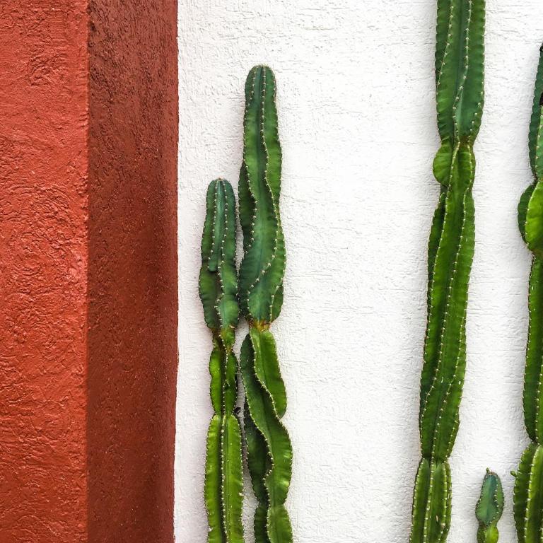 Cactus House - Two-Bedroom Townhouse - 12