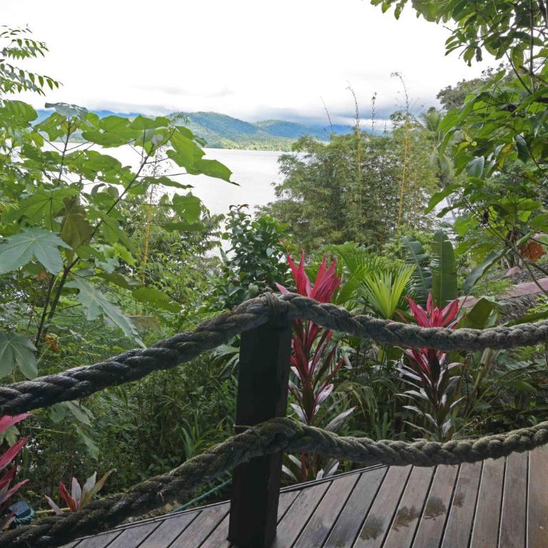 Ecolodge el Arca Bahia Solano - Bungalow de 2 dormitorios - 17