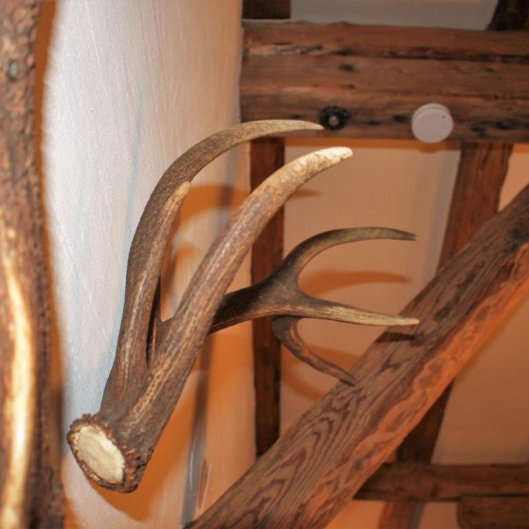Haus Buchhammer - Chalet - 1