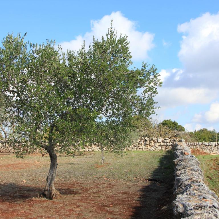 Masseria Poesia - Appartamento Deluxe - 18