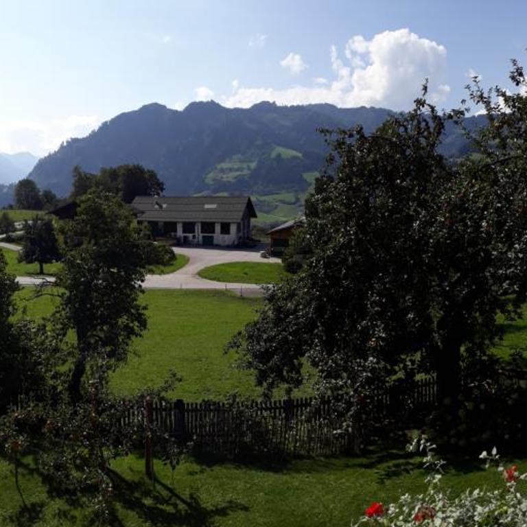 Ferienhaus Obermoser - Ferienhaus - 6
