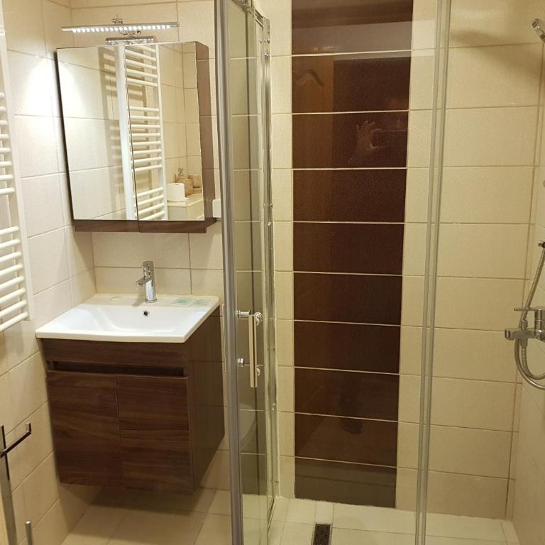 Pansion River - Budget Double Room - With Roof Window - 2