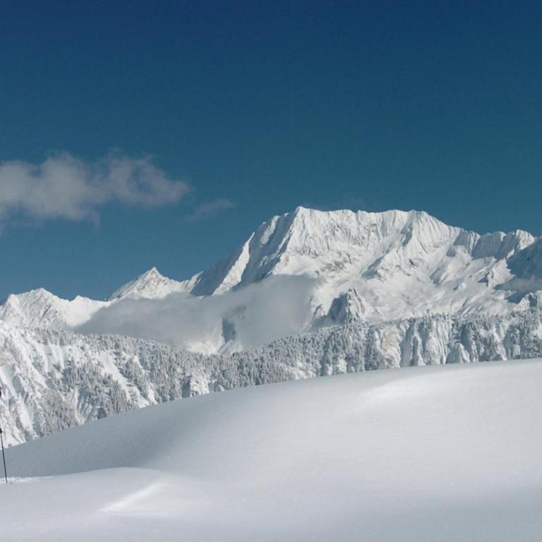 Appartement d'Exception - Domaine du Jardin Alpin, Courchevel 1850 - Appartamento con 4 Camere da Letto (8 Adulti) - 12