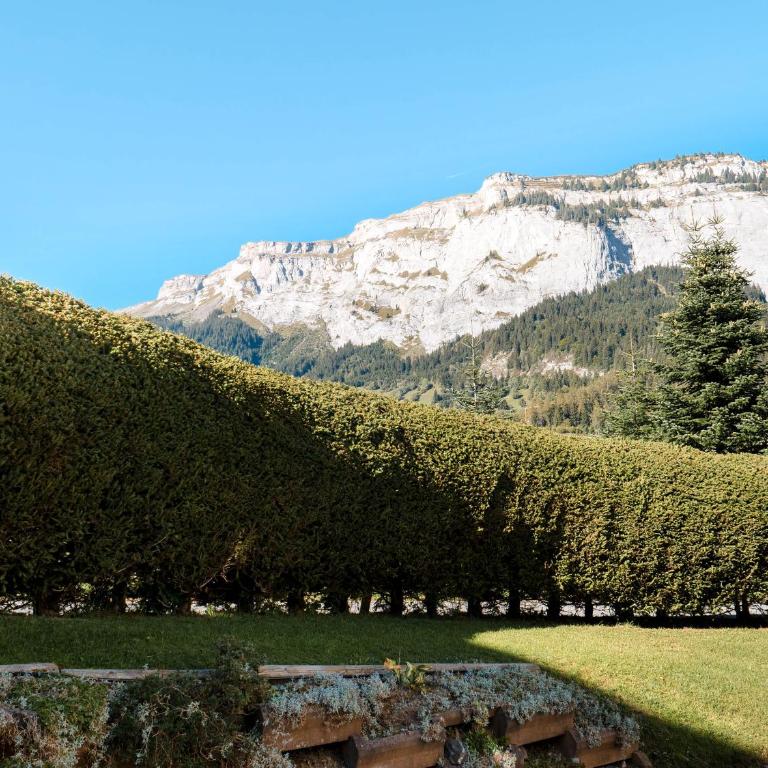 Charming 4 bed flat in Flims - Apartment - 34
