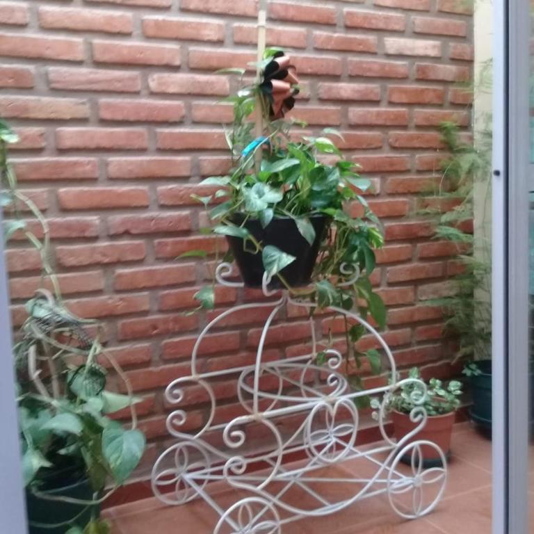 La casita de Chany - Apartamento - 8