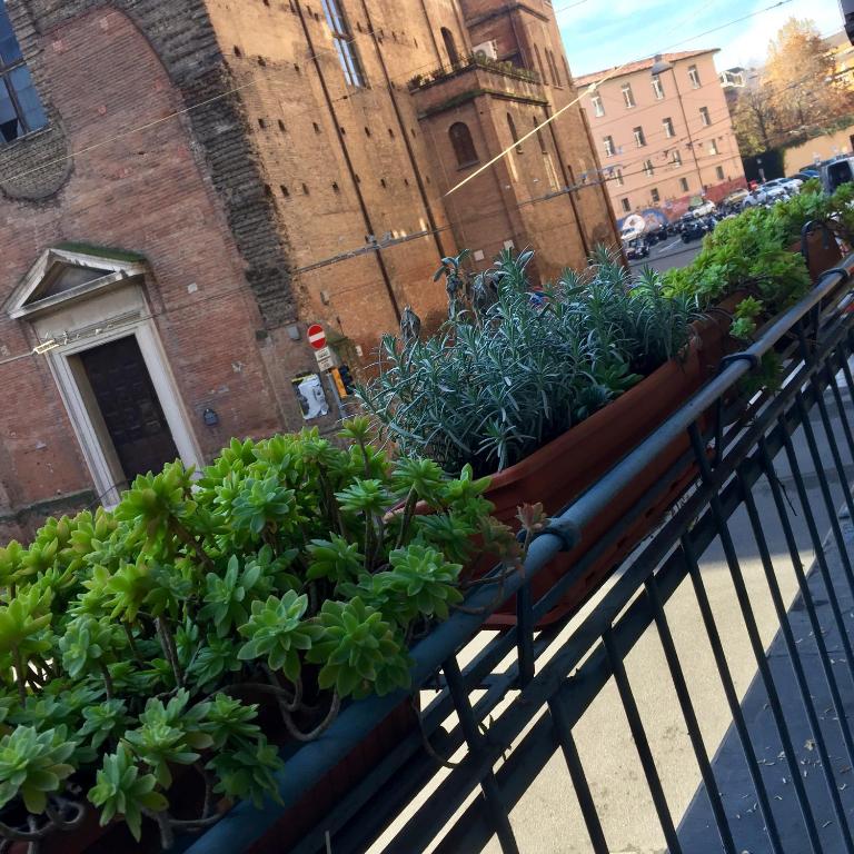 Residenza Riva Reno - BOLOGNA - Appartamento - 29