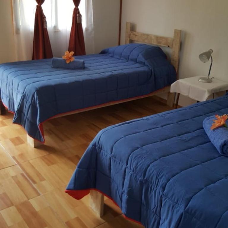 HARÉ MANU Rapa Nui - Single Bed in 4-Bed Dormitory Room - 5