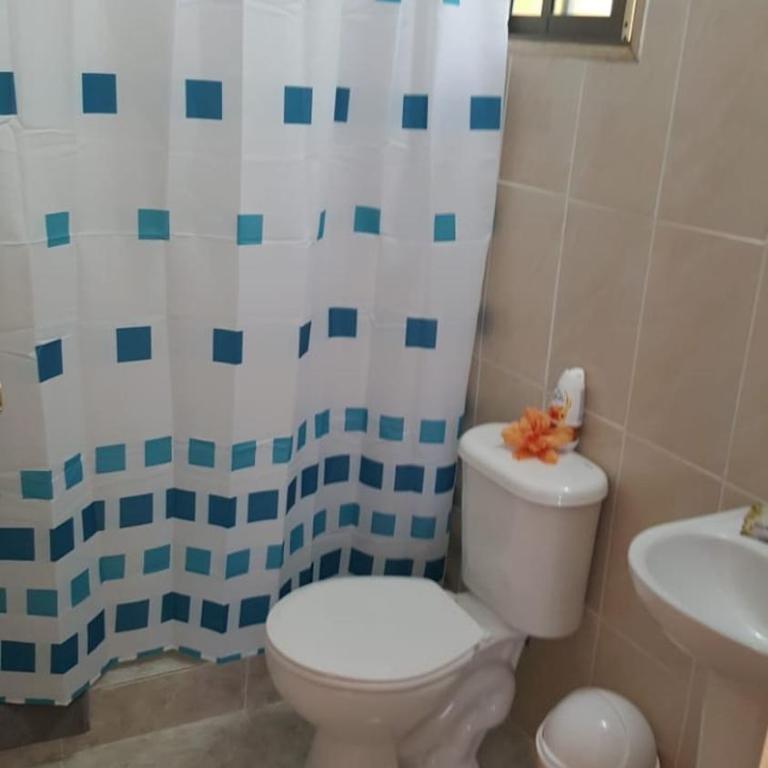 HARÉ MANU Rapa Nui - Single Bed in 4-Bed Dormitory Room - 7