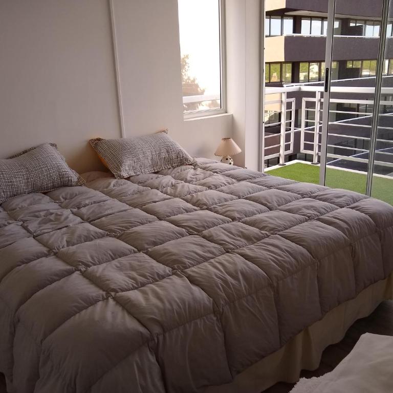Mirador 311 - Apartamento - 14