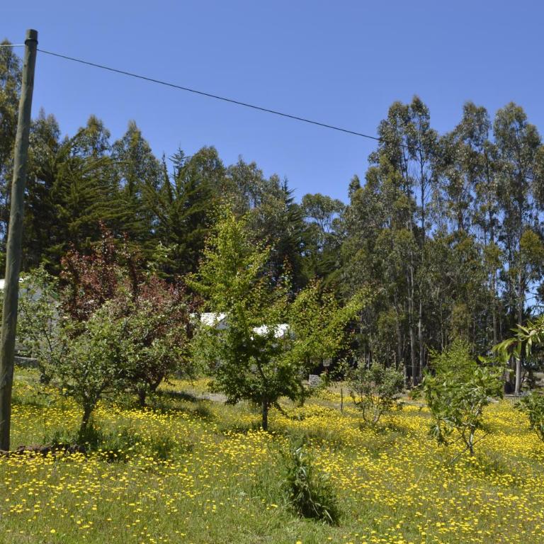 Hecmar 2 - Habitación Cuádruple con baño privado - 12