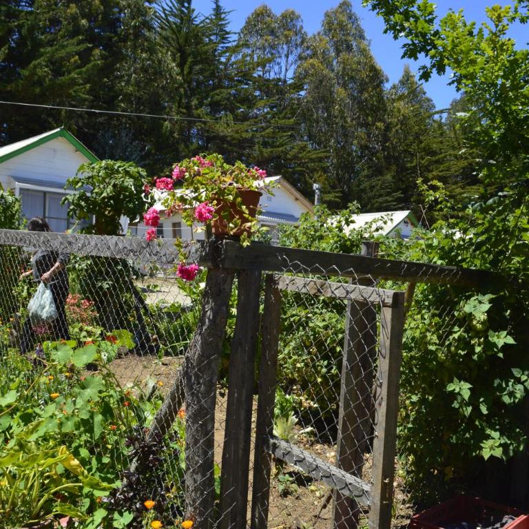 Hecmar 2 - Habitación Cuádruple con baño privado - 4