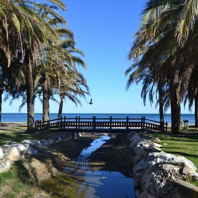 Elizabeth Beach Apartment with Seaviews! - Apartment - 33