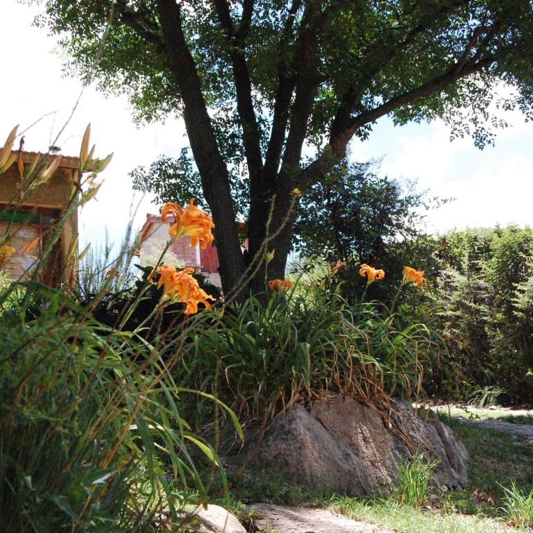 Casa Amarilla - Casa de 4 dormitorios - 15
