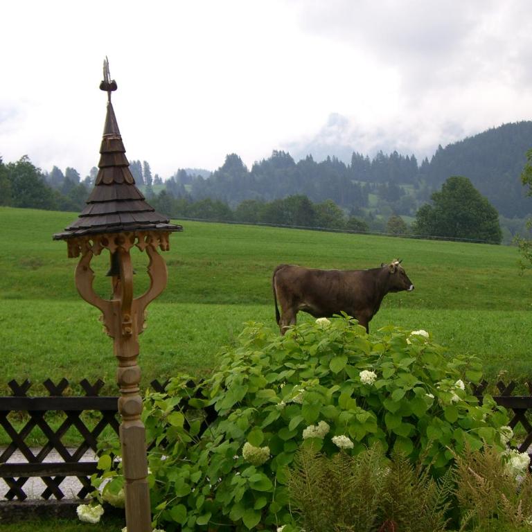 Ferienwohnung Sonnschein - Apartment mit Blick auf die Berge - 24