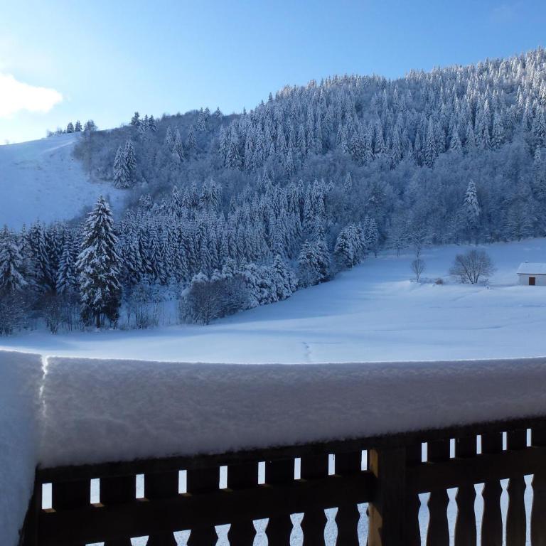 La Bresse Hautes Vosges Chalet "Le Piéna" - Chalet (2 Adultes) - 20