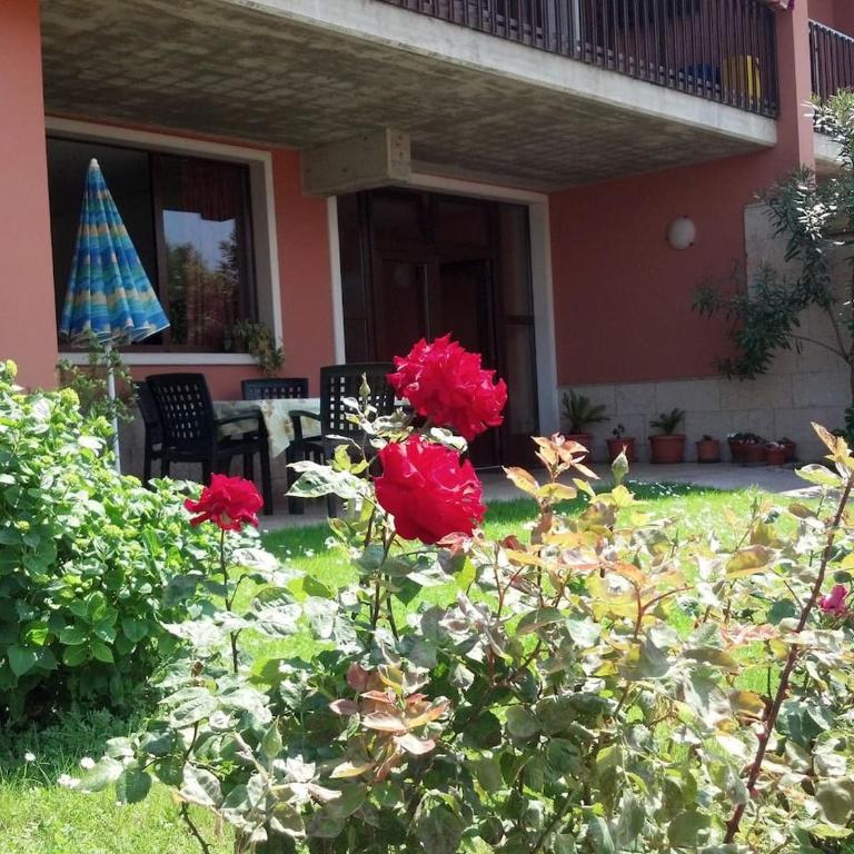 Appartamento Morena - Appartamento - 1