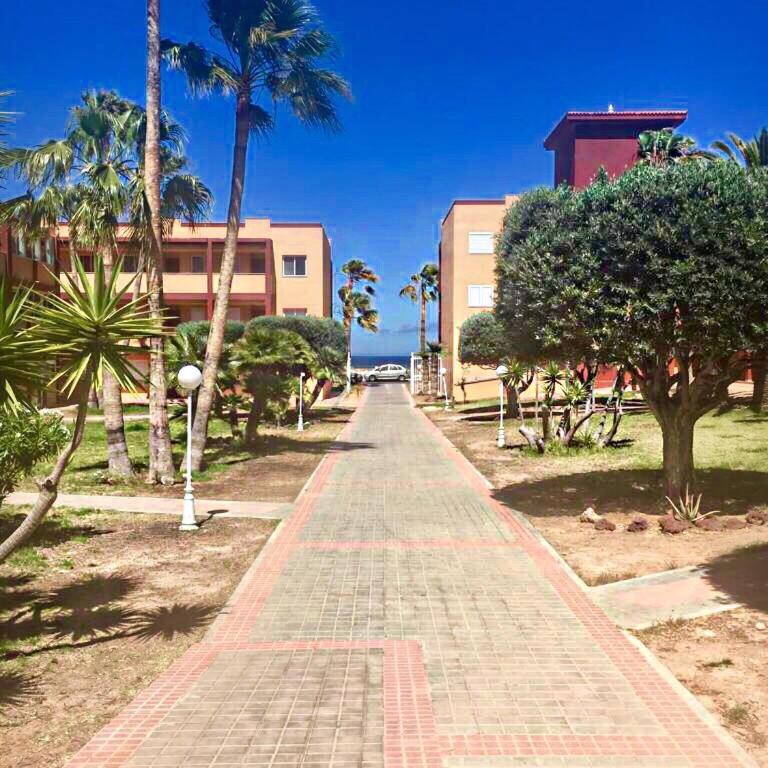 Fuerteventura - La Caleta, Parques Holandes - Apartamento con vistas a la piscina - 20