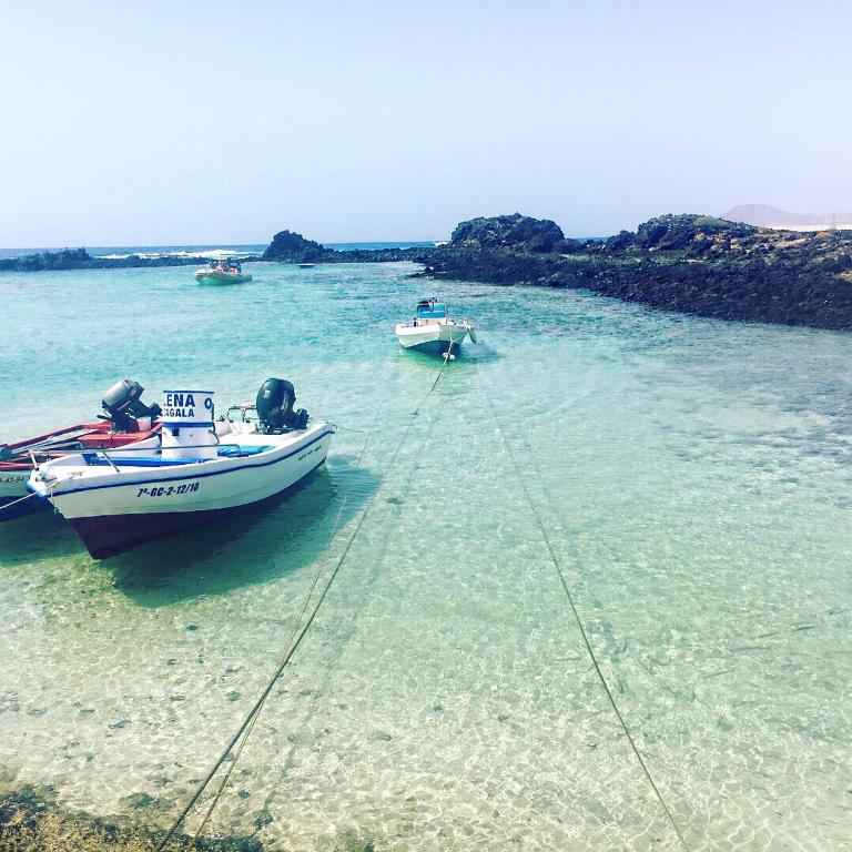 Fuerteventura - La Caleta, Parques Holandes - Apartamento con vistas a la piscina - 18