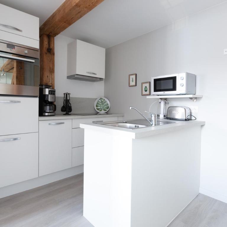 1834&Spa Colmar - Appartement 1 Chambre - Air - 1
