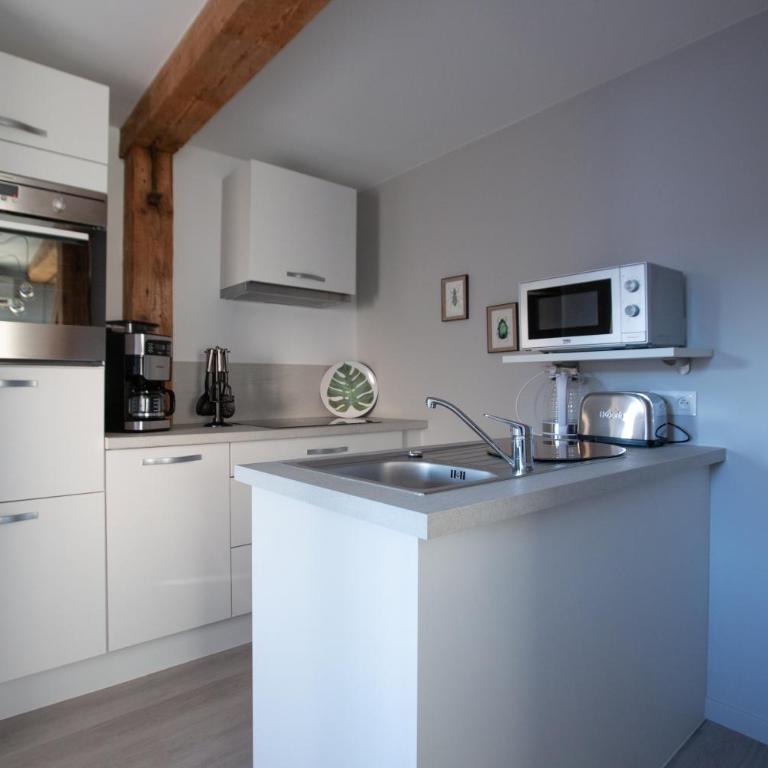 1834&Spa Colmar - Appartement 1 Chambre - Air - 9