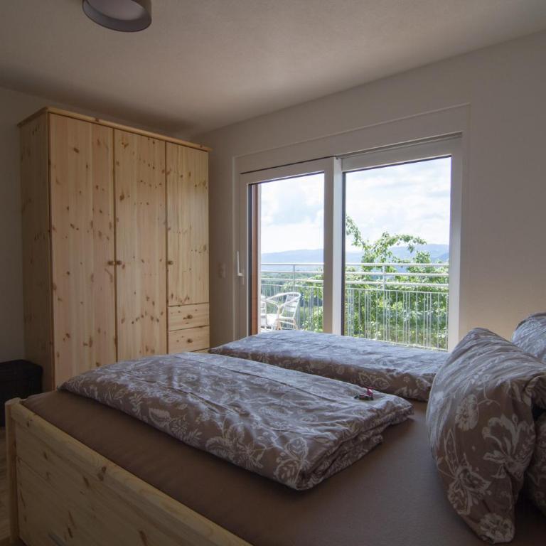 Ferienwohnung Traumaussicht - Appartamento con 2 Camere da Letto - 12