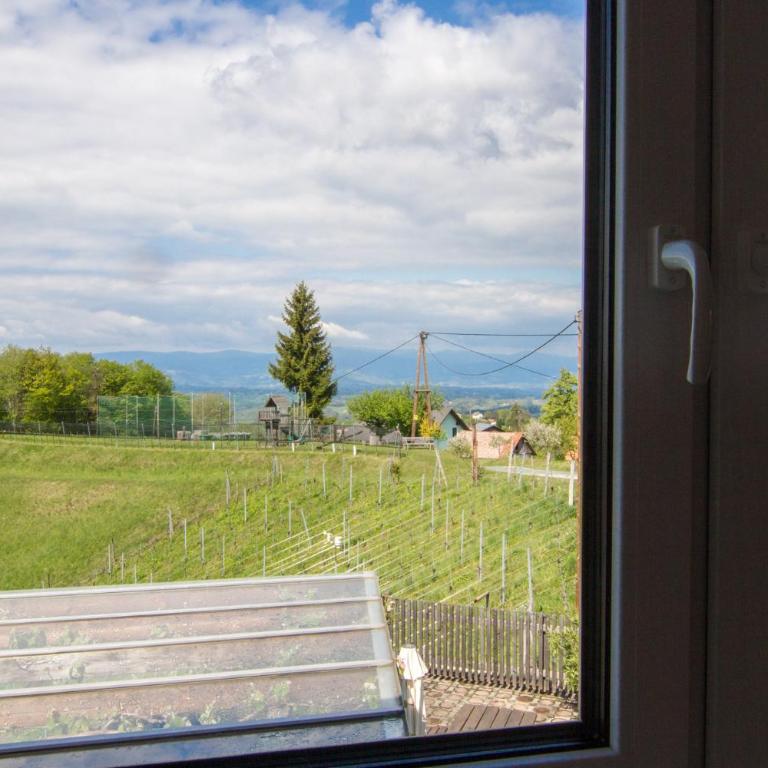 Ferienwohnung Traumaussicht - Appartamento con 2 Camere da Letto - 14
