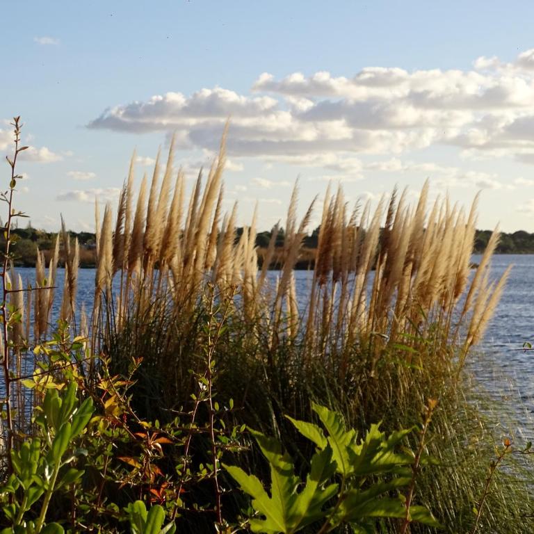 Les rives du lac - Apartment mit Seeblick - 37