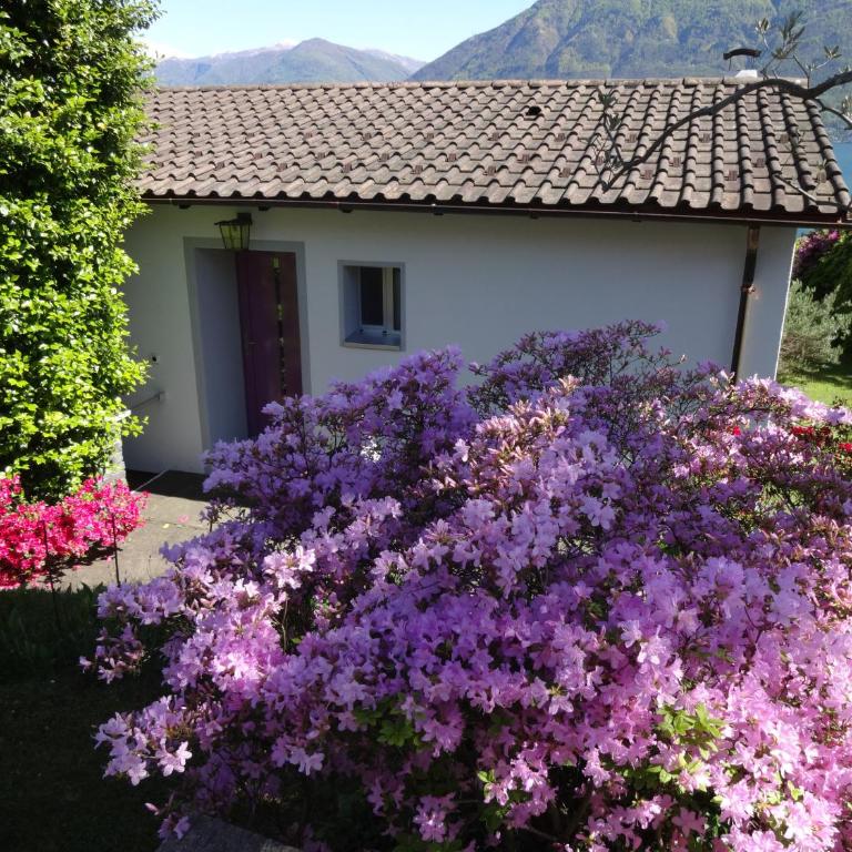 Residenza Paradiso di Vacanze - Casa con 2 Camere da Letto - 14