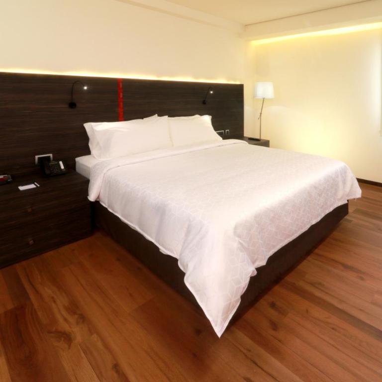 Holiday Inn Express Mexico Aeropuerto by IHG - Habitación Estándar con ducha accesible en silla de ruedas - cama extragrande - Adaptada para personas con movilidad reducida - 1