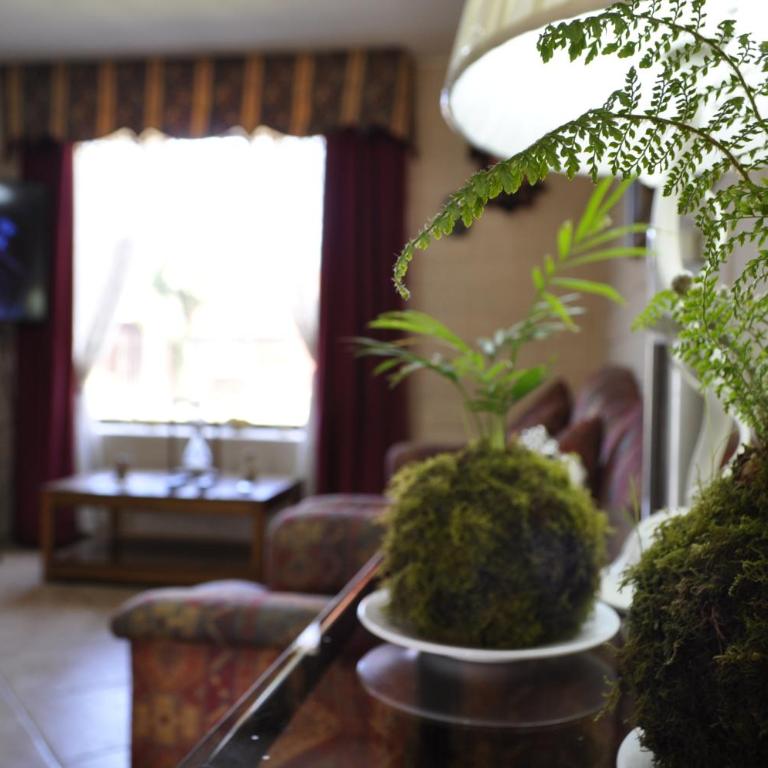 Santa Elena de Maipo Home - Double Room with Private Bathroom - 5