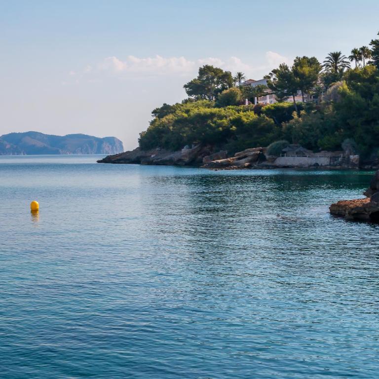 Villa Narcis - Villa con piscina privada - 31