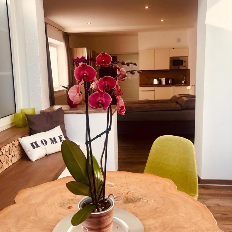 Echt Heimat Apartments - Appartamento con Vista Lago - 25