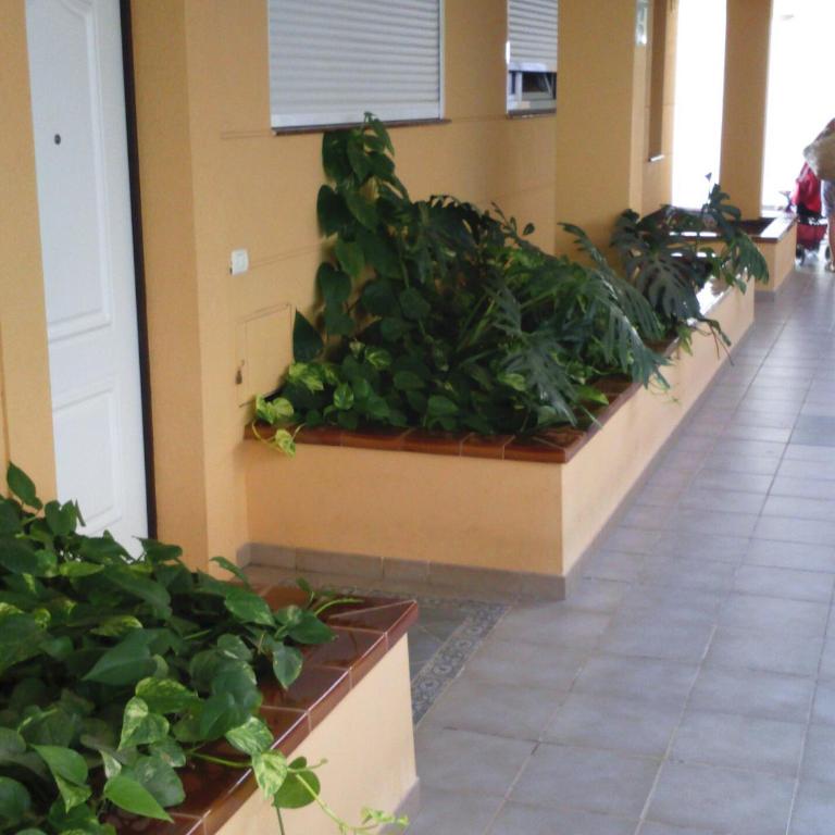 The Sunset - Apartamento - 61