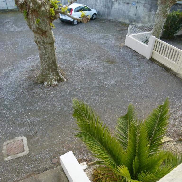 Appartement les Elfes - Apartamento de 1 dormitorio - 17