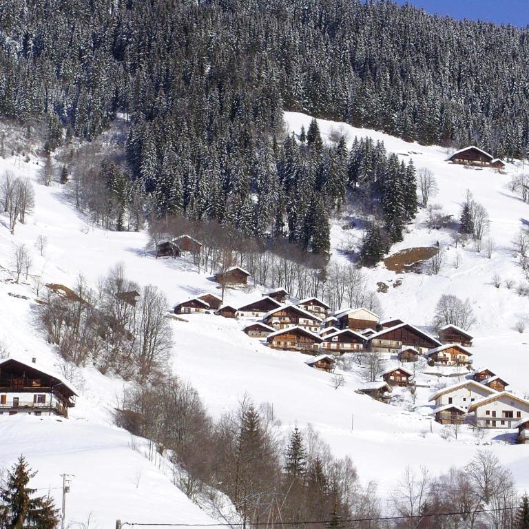 Les Myosotis - Appartement avec Vue sur la Montagne - 3