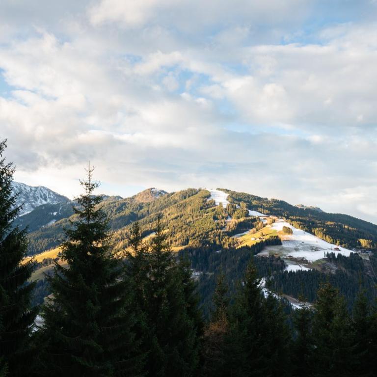 Designferienhaus Luxus Bergchalet XXL Ski In-Out Snow Space Wagrain Flachau - Deluxe Villa - 50
