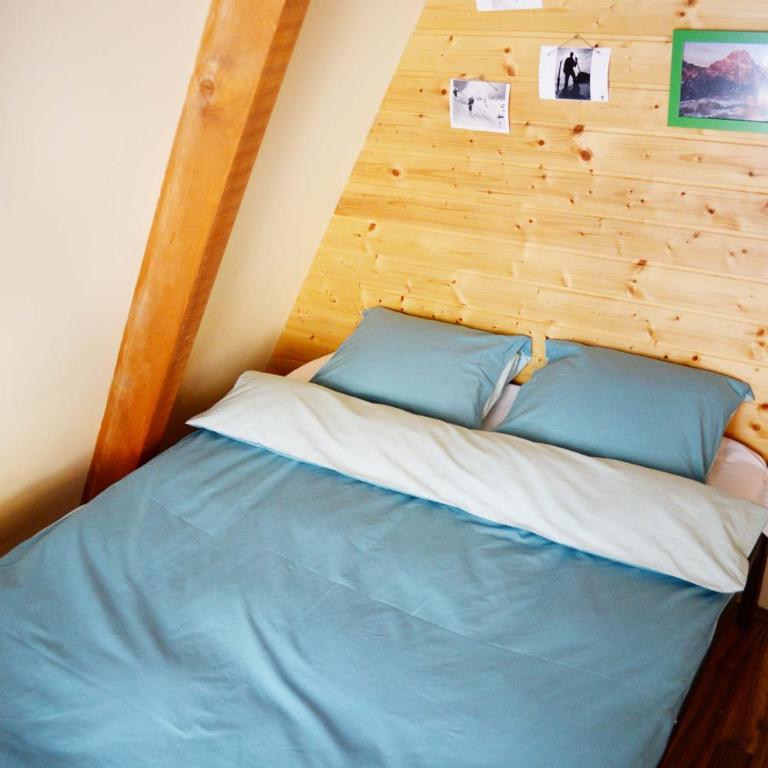 Cabin & Apartment Kopaonik - Vacation Home - 2