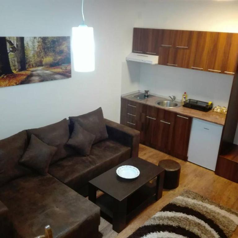 Vila Natasa - One-Bedroom Apartment - 12
