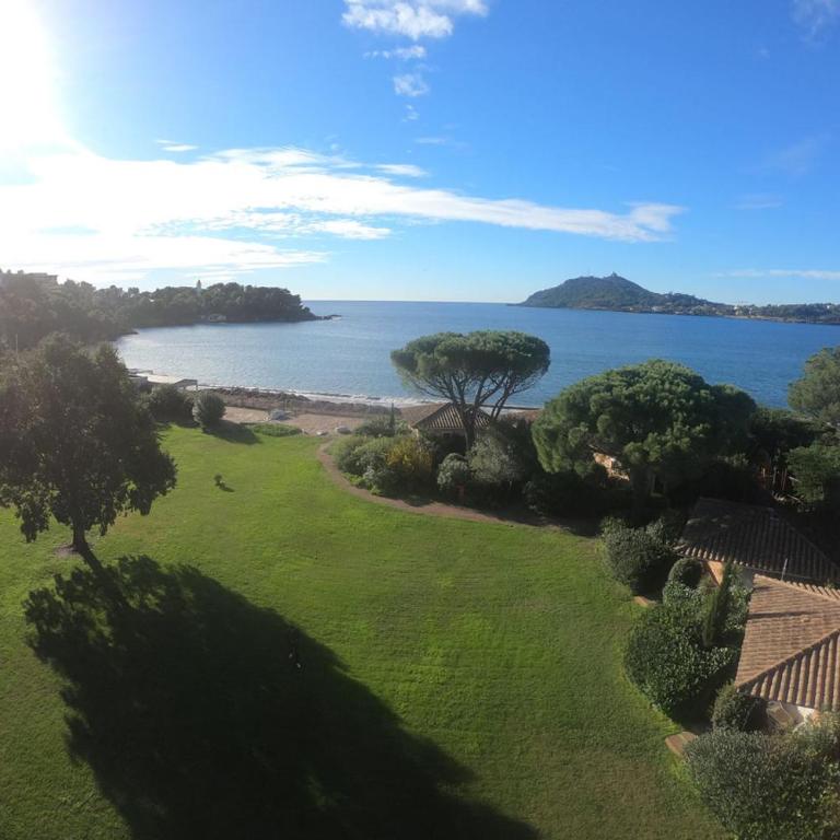 Résidence Agathos (un jardin sur la plage) - Bastidon one-bedroom - Sea View - 8